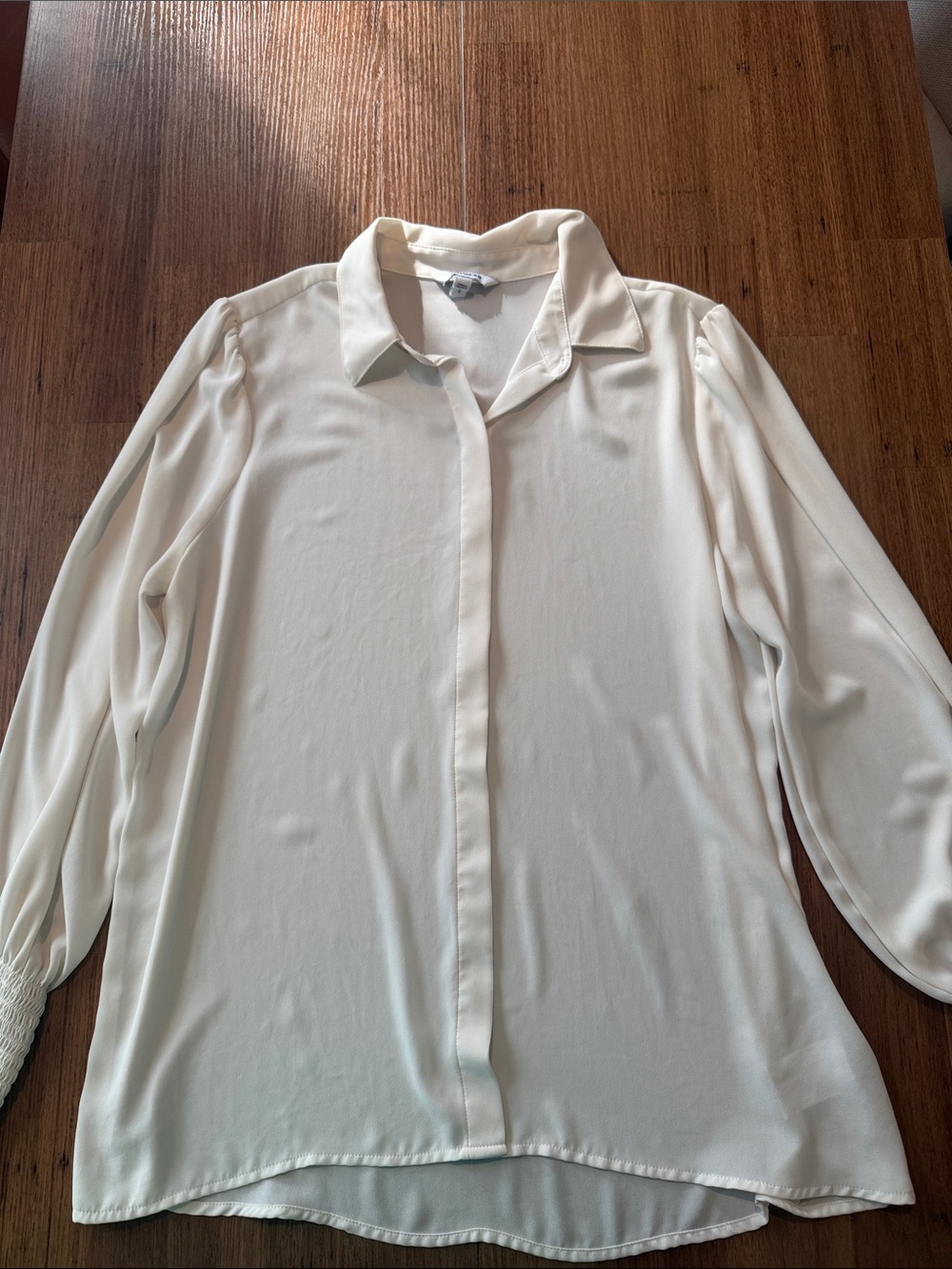 Express Lightweight Cream Blouse with Classic Collar